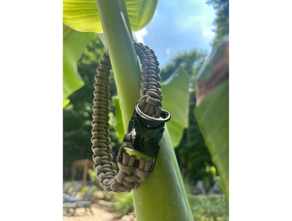 Cobra Braid in Tan - Handmade Dog Collar - Tampa Home & Garden Store