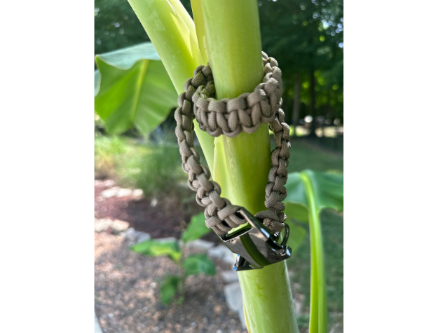Cobra Braid in Tan - Handmade Dog Collar - Tampa Home & Garden Store