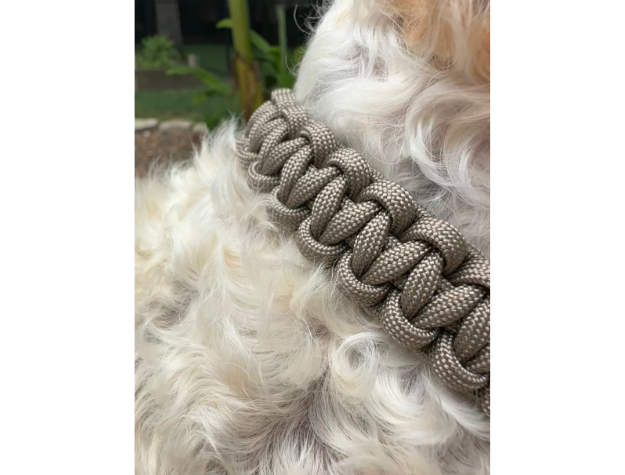 Cobra Braid in Tan - Handmade Dog Collar - Tampa Home & Garden Store