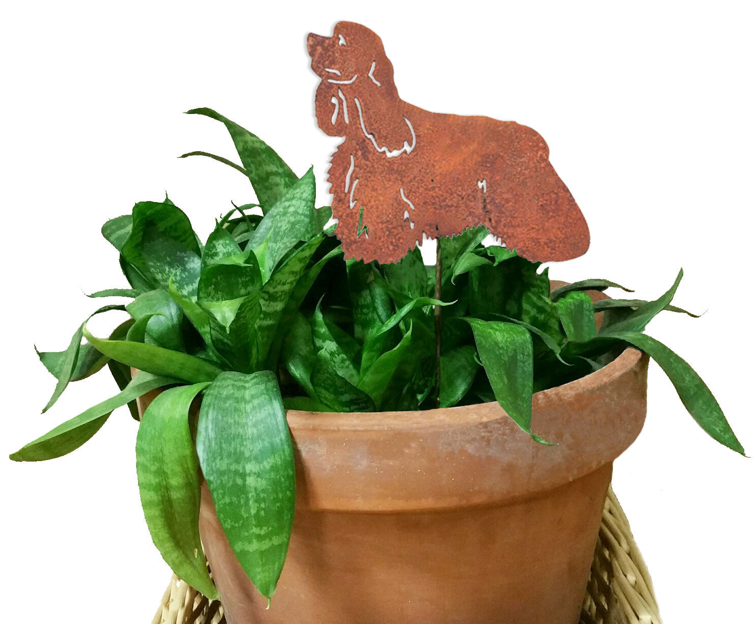 Cocker Spaniel plant stake rust colored metal silhouette in a terracotta pot by Rustica Ornamentals on Tampa Home & Garden Store