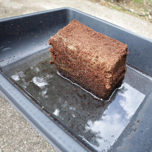 Coco Coir Brick - Tampa soil911.com