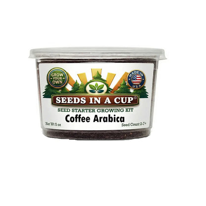 Coffee Arabica Tree Grow Kit - Tampa Home & Garden Store