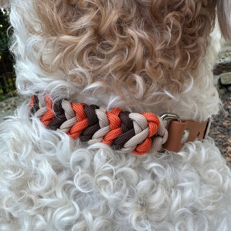 Coiled Charm Hand Braided Dog Collar in Burnt Orange, Walnut Brown, & Light Tan - Tampa Home & Garden Store