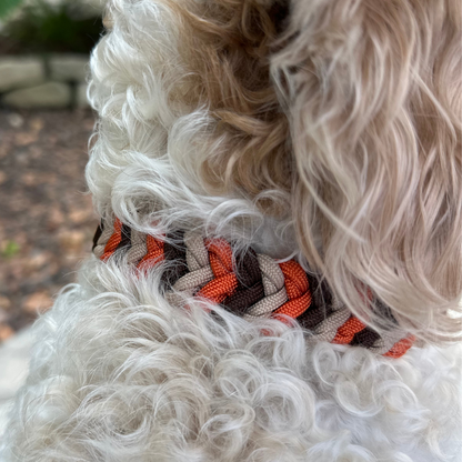 Coiled Charm Hand Braided Dog Collar in Burnt Orange, Walnut Brown, & Light Tan - Tampa Home & Garden Store