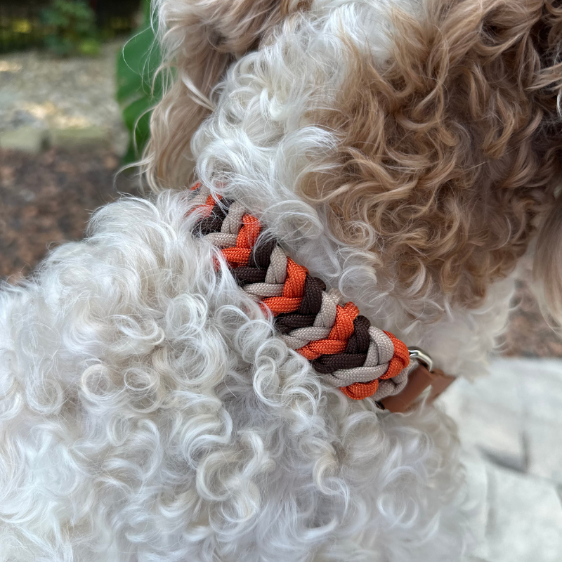 Coiled Charm Hand Braided Dog Collar in Burnt Orange, Walnut Brown, & Light Tan - Tampa Home & Garden Store