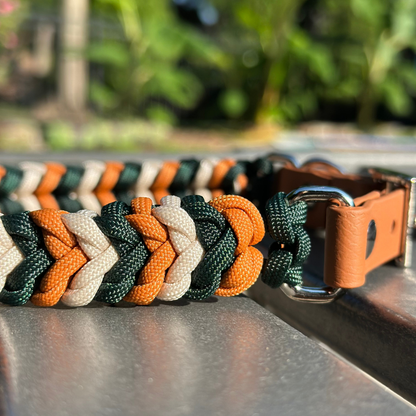Coiled Charm Hand Braided Dog Collar in Hunter Green, Mustard, & Cream - Tampa Home & Garden Store