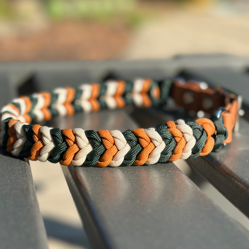 Coiled Charm Hand Braided Dog Collar in Hunter Green, Mustard, & Cream - Tampa Home & Garden Store