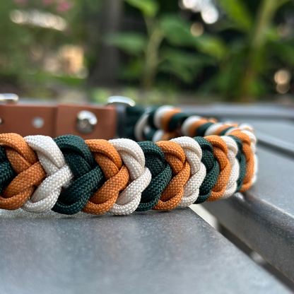Coiled Charm Hand Braided Dog Collar in Hunter Green, Mustard, & Cream - Tampa Home & Garden Store