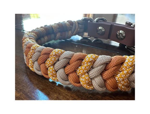 Coiled Charm Hand Braided Dog Collar in Mustard, Goldenrod, & Light Tan - Tampa Home & Garden Store