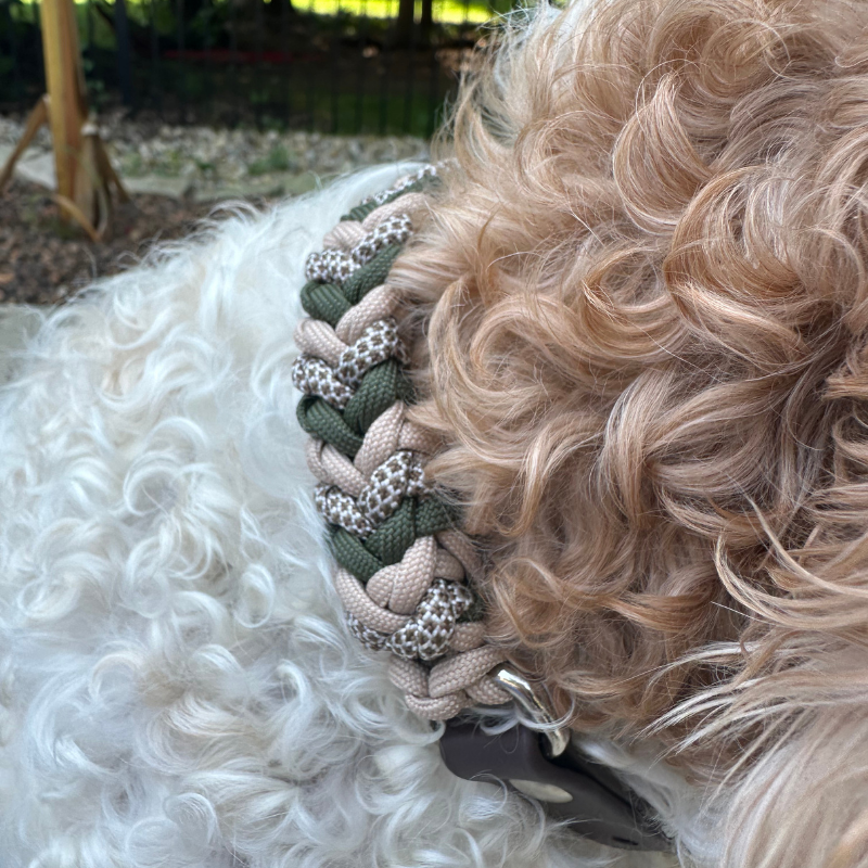 Coiled Charm Hand Braided Dog Collar in Olive, Light Tan, & Coyote Brown Diamonds - Tampa Home & Garden Store