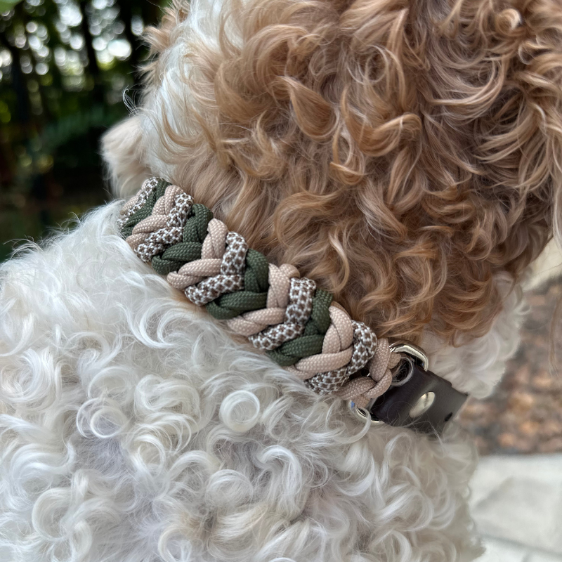 Coiled Charm Hand Braided Dog Collar in Olive, Light Tan, & Coyote Brown Diamonds - Tampa Home & Garden Store