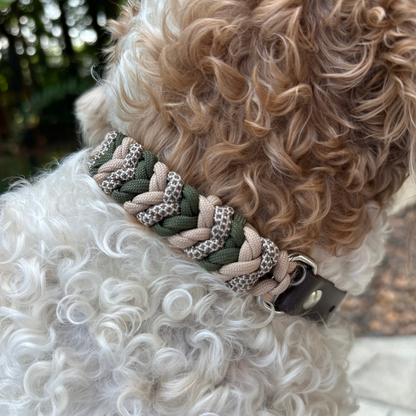 Coiled Charm Hand Braided Dog Collar in Olive, Light Tan, & Coyote Brown Diamonds - Tampa Home & Garden Store