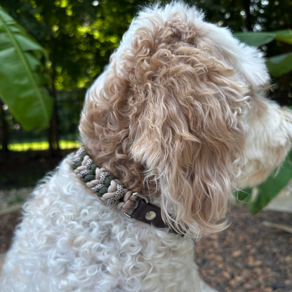 Coiled Charm Hand Braided Dog Collar in Olive, Light Tan, & Coyote Brown Diamonds - Tampa Home & Garden Store