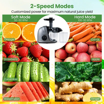 Cold Press Juicer Machine with 95 Percent Yield