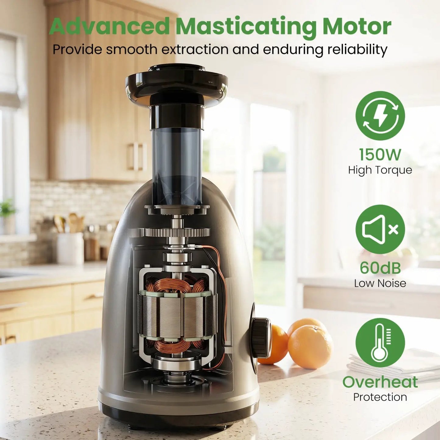 Cold Press Juicer Machine with 95 Percent Yield