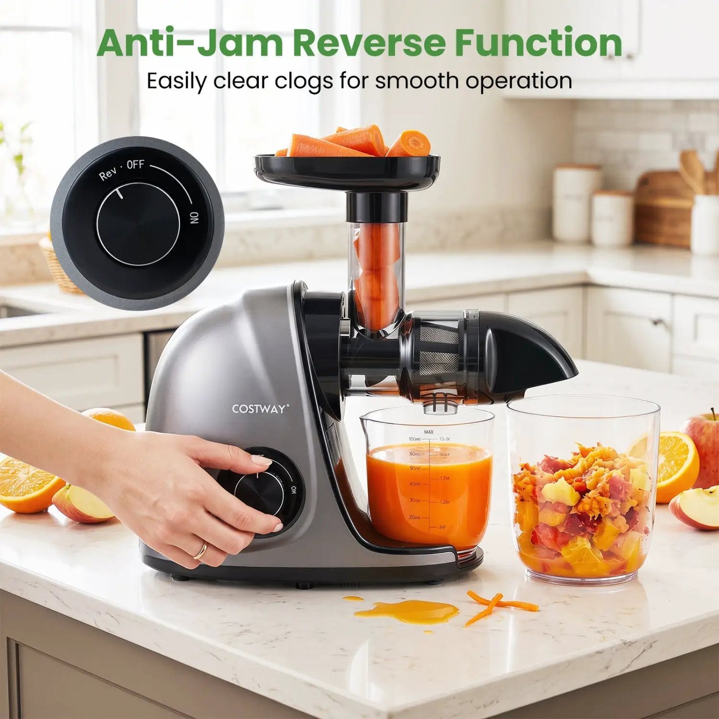 Cold Press Juicer Machine with 95 Percent Yield