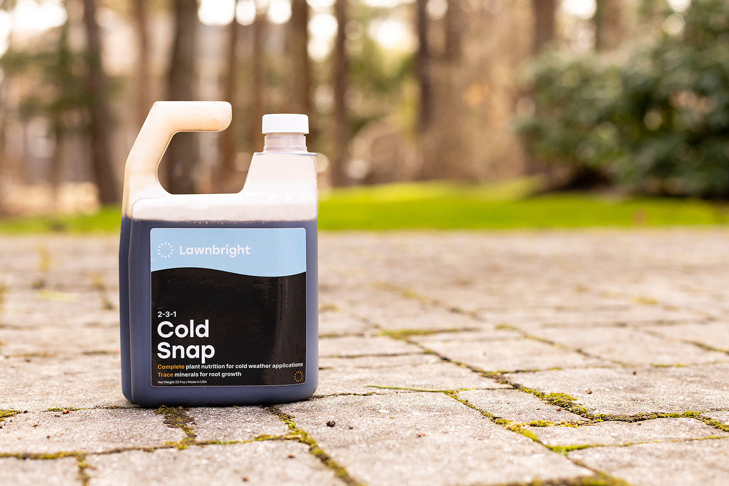 Hivernage en cas de coup de froid