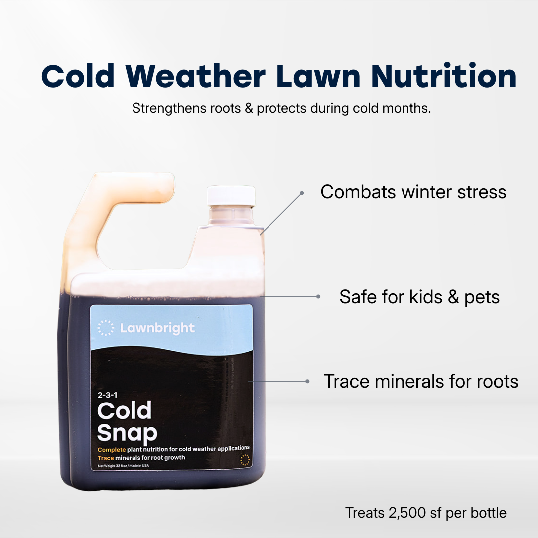 Hivernage en cas de coup de froid