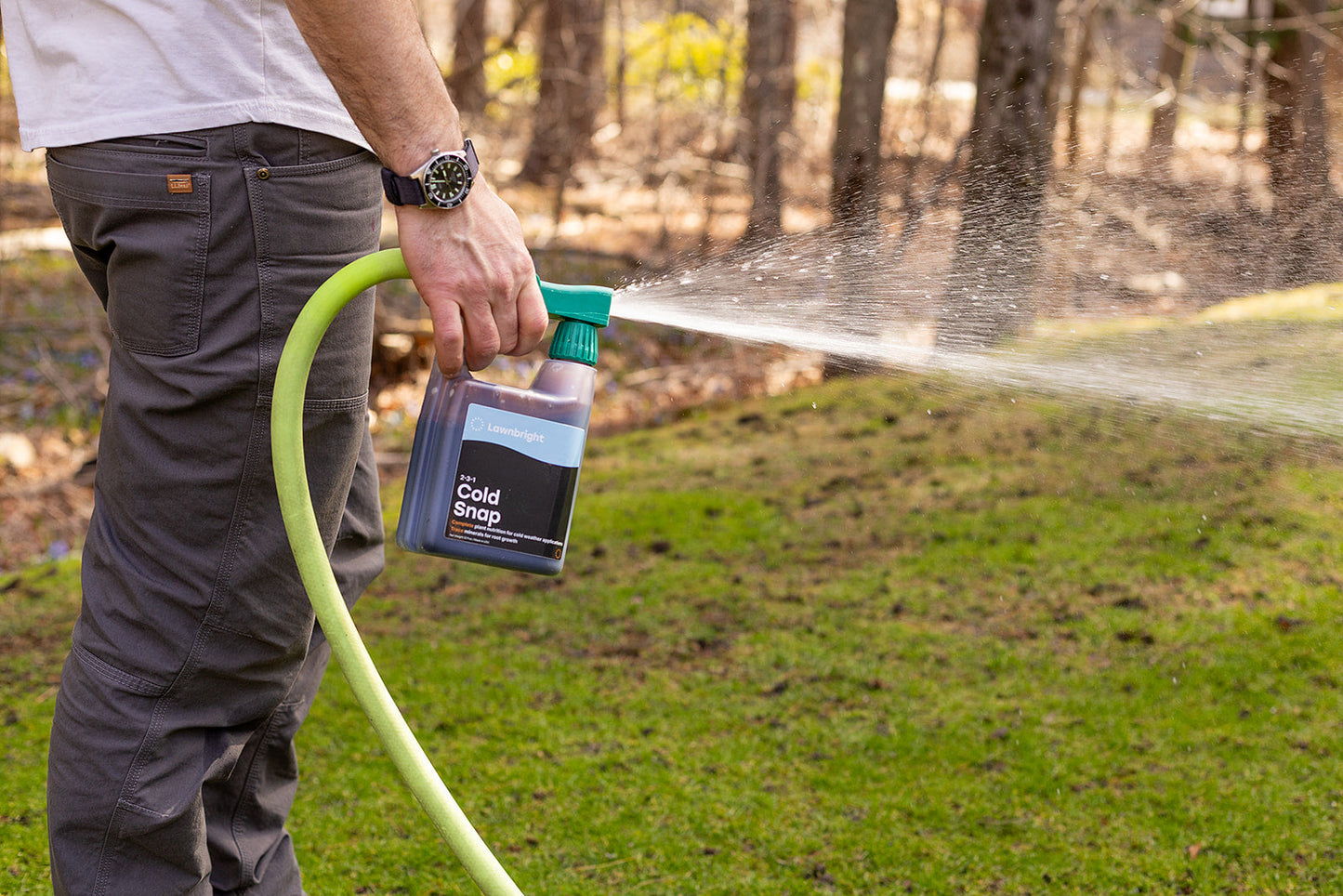 Hivernage en cas de coup de froid