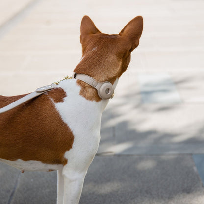 Collar - Air Tag Enabled - Vegan Leather - Cupertino - Tampa Home & Garden Store
