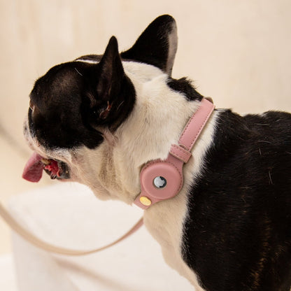 Collar - Air Tag Enabled - Vegan Leather - Cupertino - Tampa Home & Garden Store