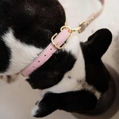 Collar - Air Tag Enabled - Vegan Leather - Cupertino - Tampa Home & Garden Store