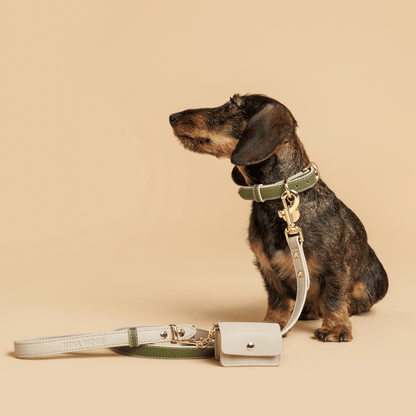 Collar - Vegan Leather - Copenhagen - Tampa Home & Garden Store