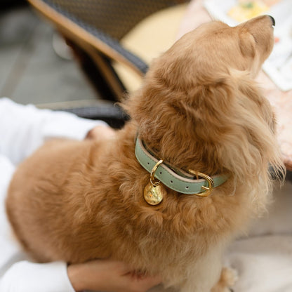 Collar - Vegan Leather - Copenhagen - Tampa Home & Garden Store