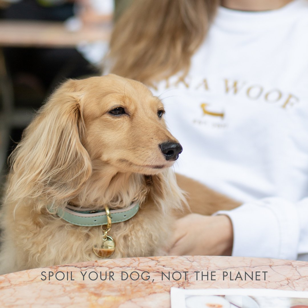 Collar - Vegan Leather - Copenhagen - Tampa Home & Garden Store