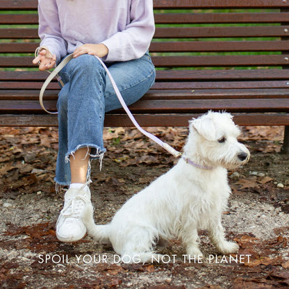 Collar - Vegan Leather - London - Tampa Home & Garden Store