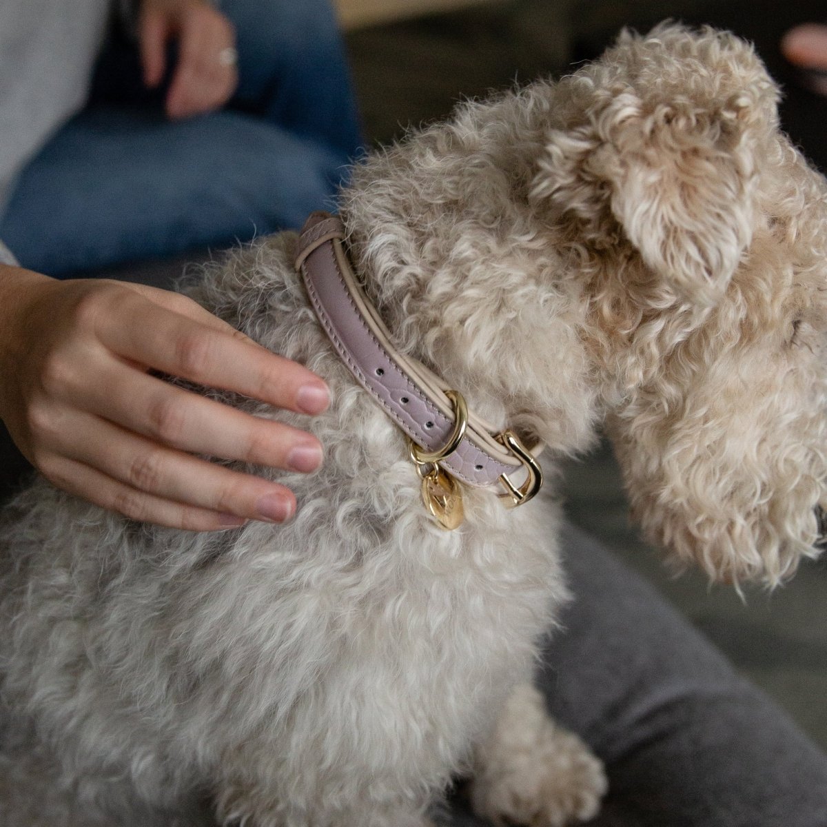 Collar - Vegan Leather - Tampa Home & Garden Store
