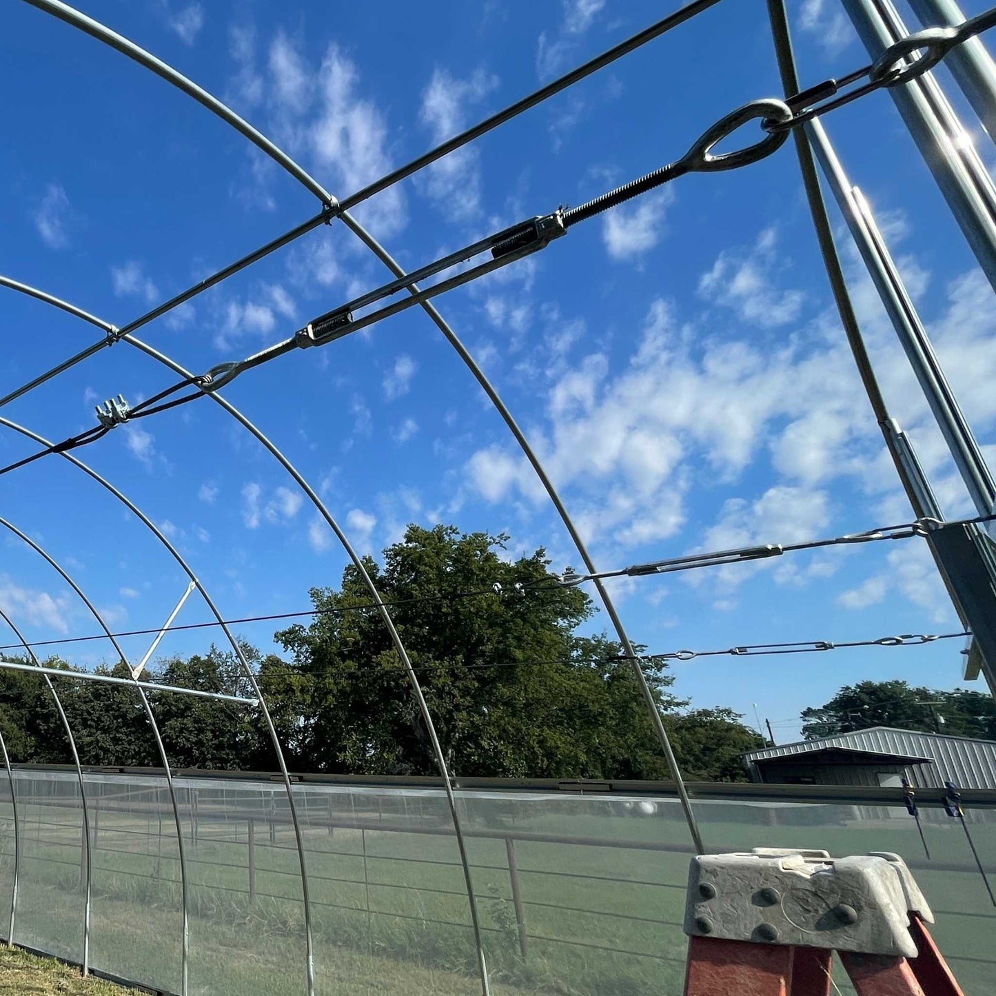 Complete Greenhouse Trellising System - Tampa soil911.com