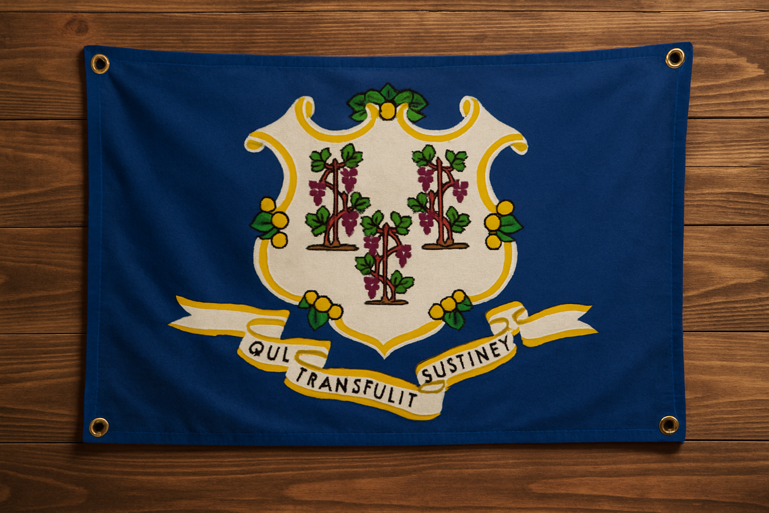 Connecticut Flag with Grommets Along the Edges for Wall Hanging - Tampa Home & Garden Store