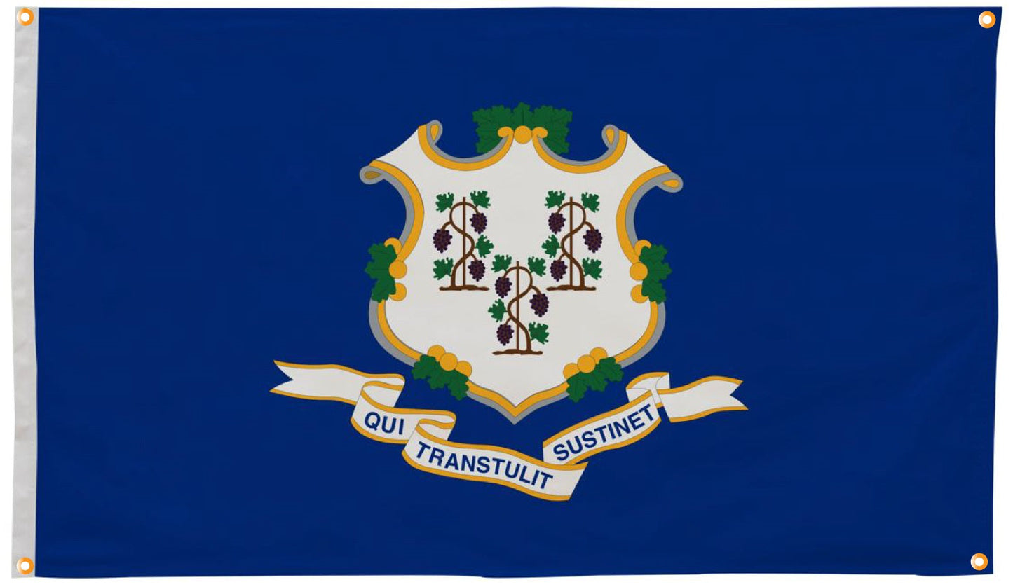 Connecticut Flag with Grommets Along the Edges for Wall Hanging - Tampa Home & Garden Store