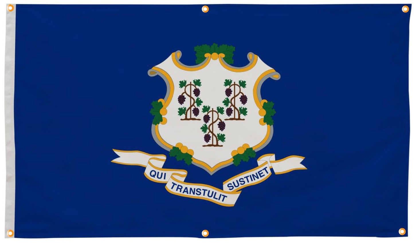 Connecticut Flag with Grommets Along the Edges for Wall Hanging - Tampa Home & Garden Store