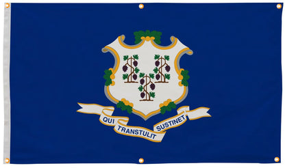 Connecticut Flag with Grommets Along the Edges for Wall Hanging - Tampa Home & Garden Store