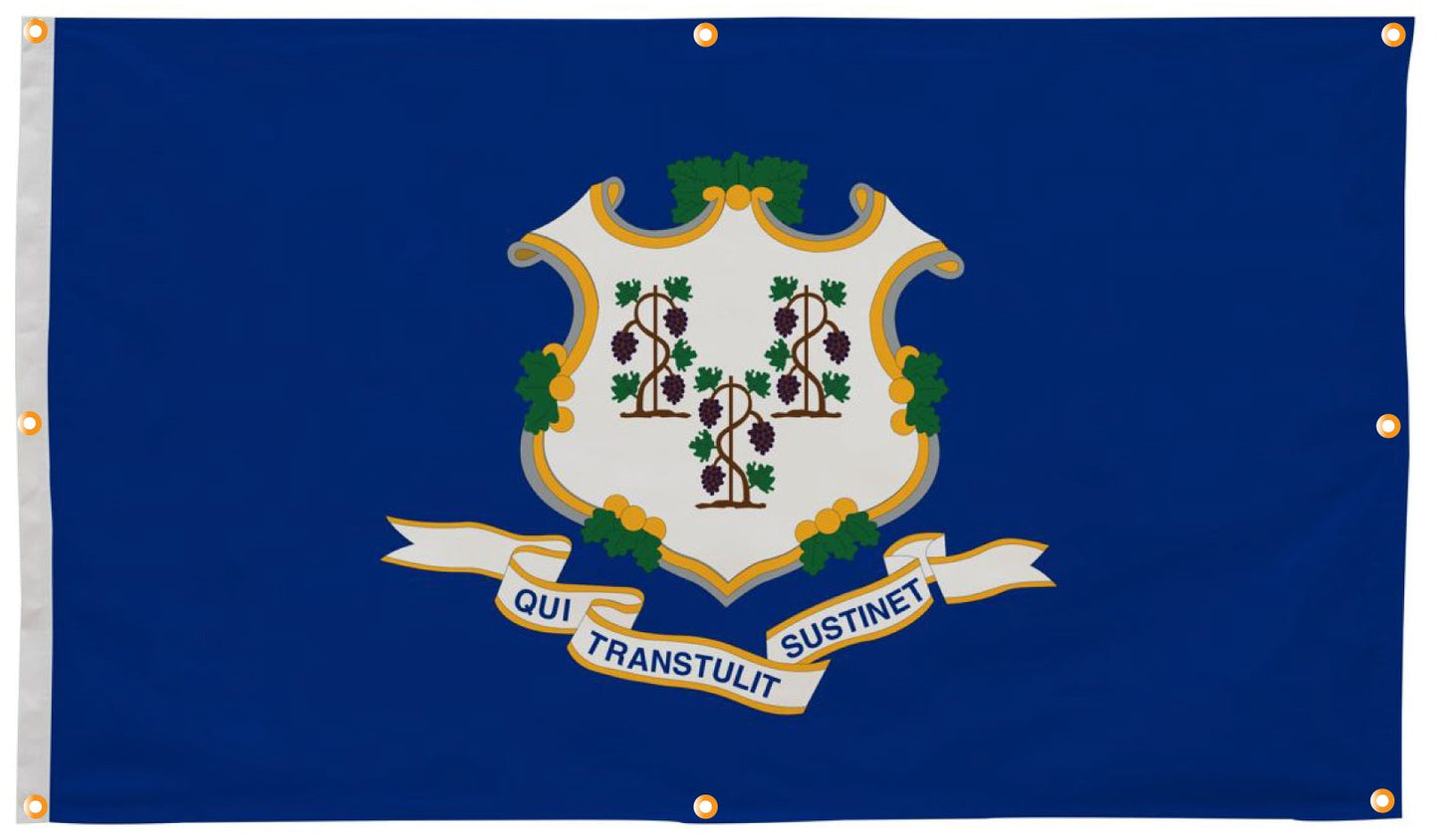 Connecticut Flag with Grommets Along the Edges for Wall Hanging - Tampa Home & Garden Store