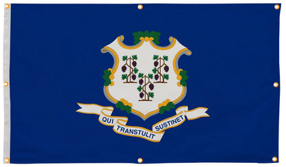 Connecticut Flag with Grommets Along the Edges for Wall Hanging - Tampa Home & Garden Store