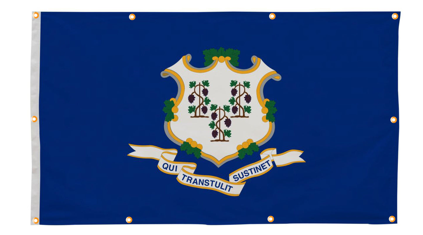 Connecticut Flag with Grommets Along the Edges for Wall Hanging - Tampa Home & Garden Store
