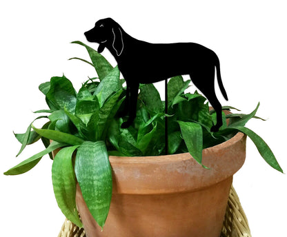 Coonhound Plant Stake by Rustica Ornamentals, black silhouette atop green snake plant in a pot on Tampa Home & Garden Store