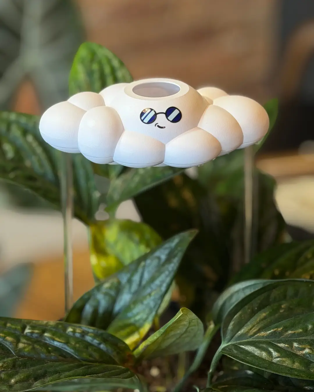 Cooper the Cloud watering can, white cloud with a smile and sunglasses, by The Cloud Makers on Tampa Home & Garden Store