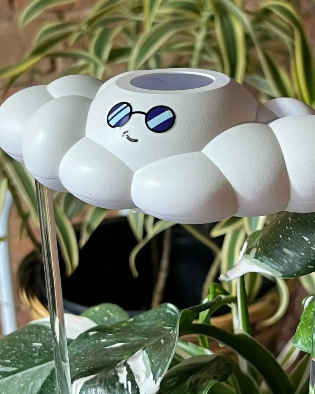 Cooper the Cloud watering can topper, white cloud with blue sunglasses, by The Cloud Makers on Tampa Home & Garden Store