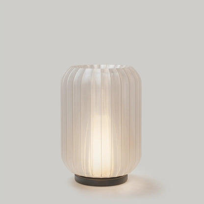 Cordless Mini Allium Lamp with white ribbed shade and clear filament bulb on Tampa Home & Garden Store