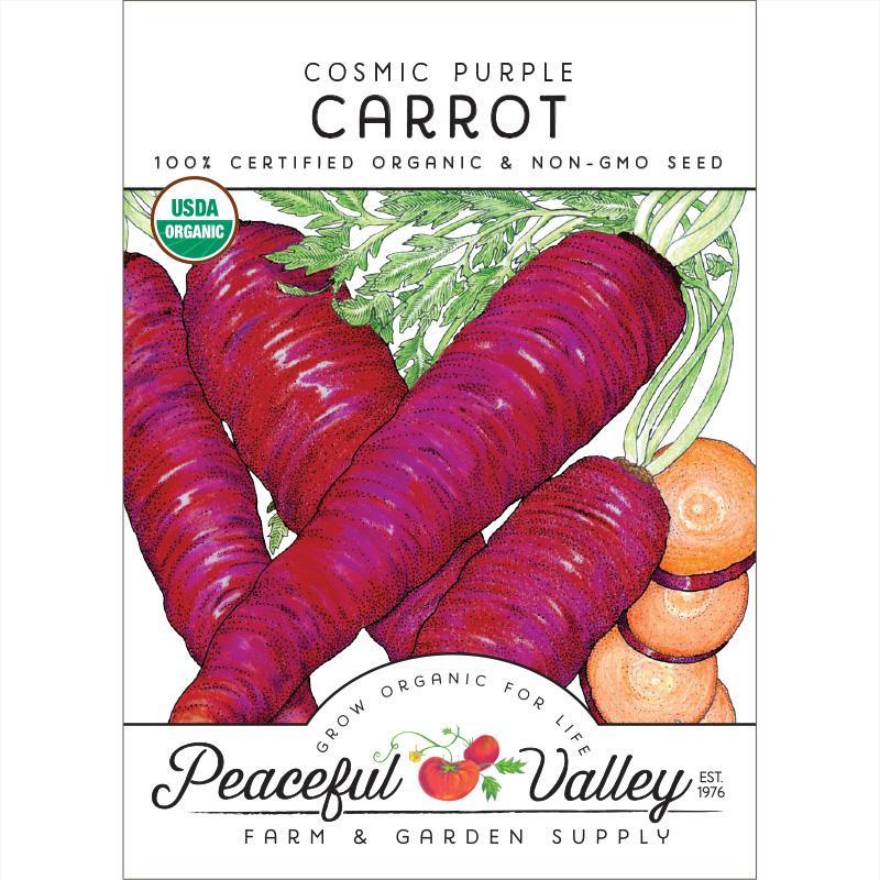 Cosmic Purple Carrot Seeds (Organic) - Tampa Home & Garden Store