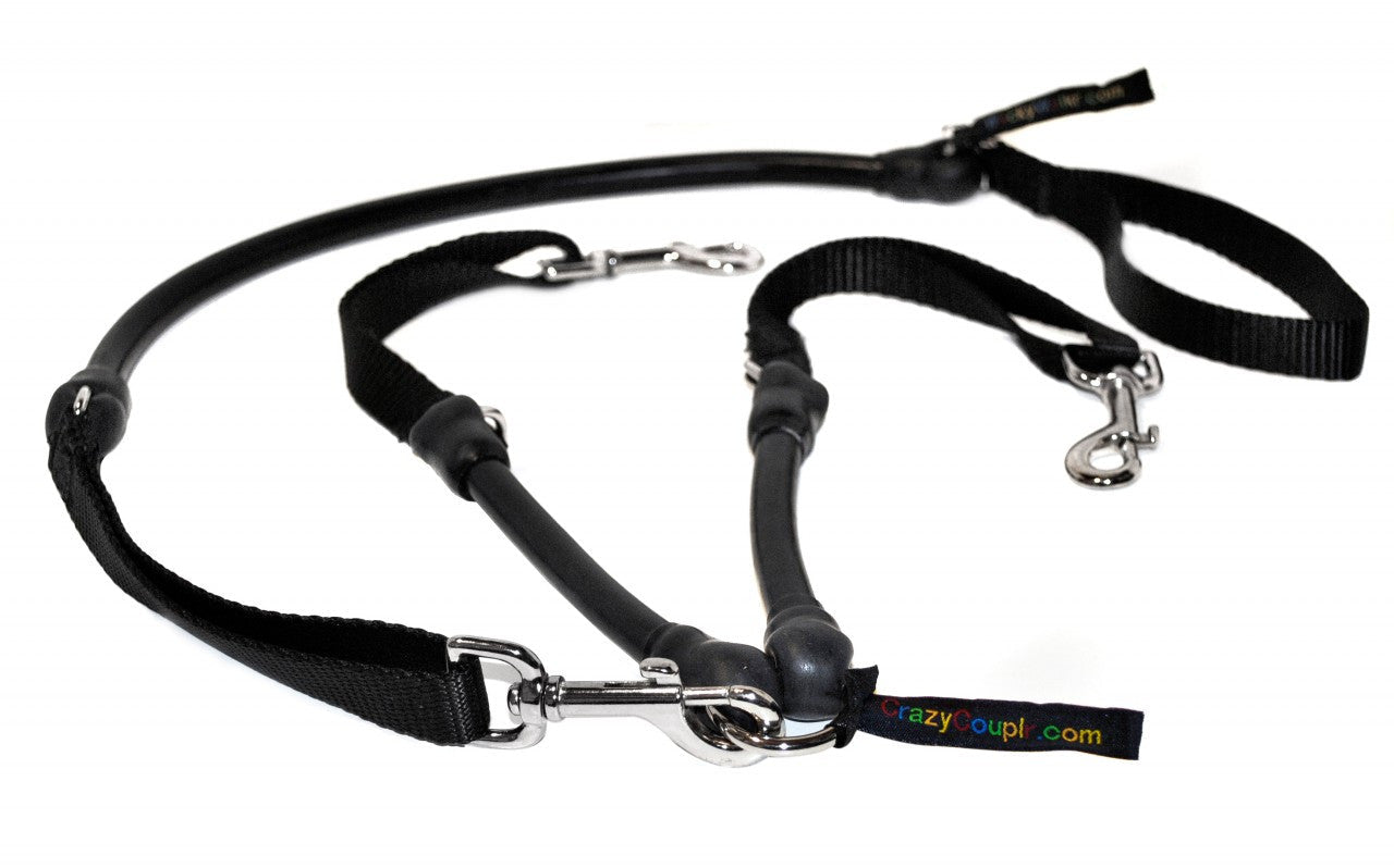 Crazycouplr 2 Dogs On 1 Leash No Tangle Walking