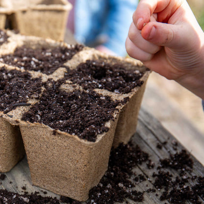 CowPots® #3 6-cell - Tampa Home & Garden Store