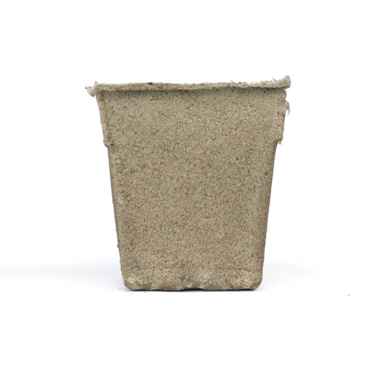 CowPots® #4 Square - Tampa Home & Garden Store