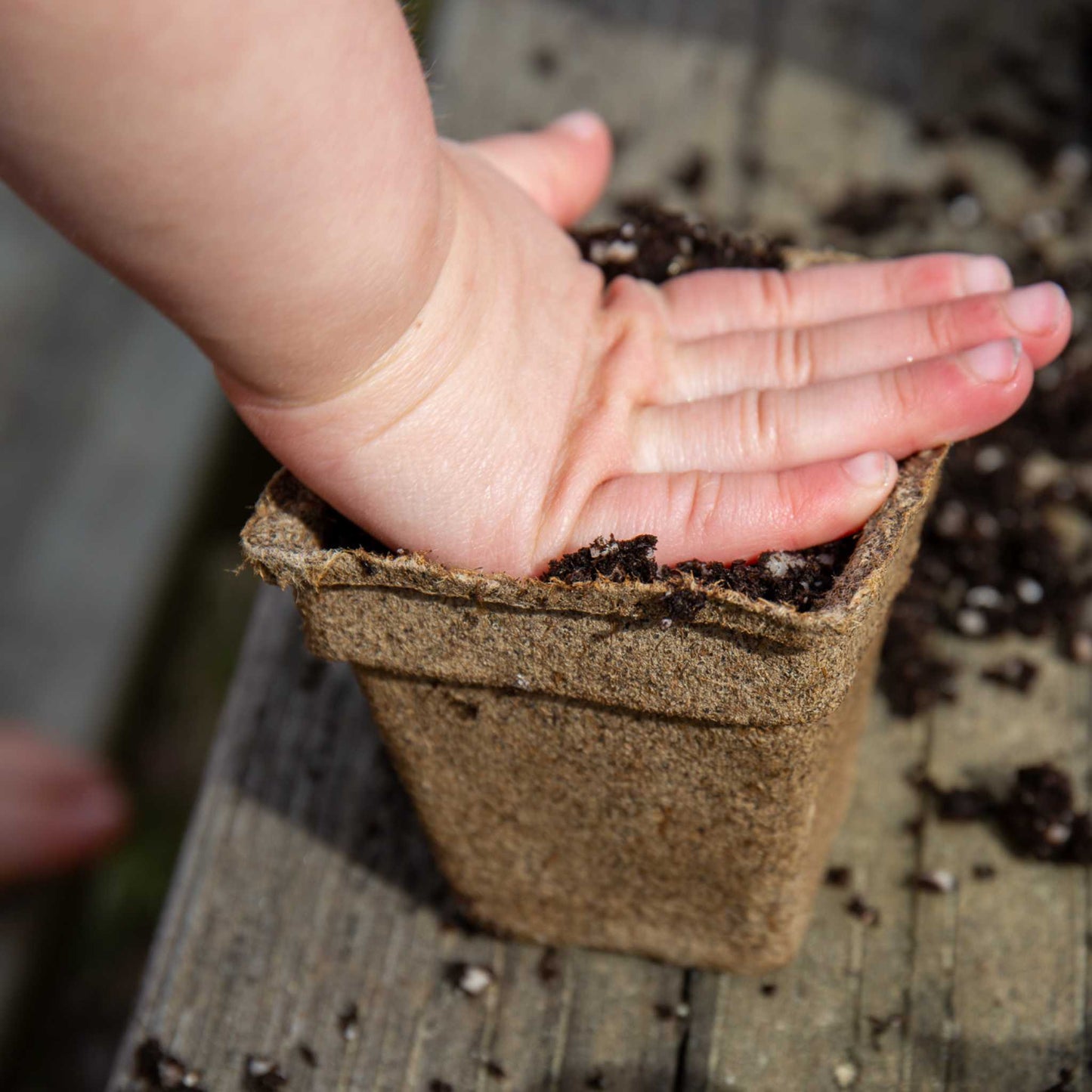 CowPots® Starter Kit - Tampa Home & Garden Store