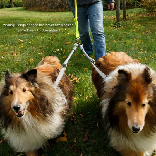 Crazycouplr 2 Dogs On 1 Leash No Tangle Walking double pet leash for two dogs WACKYstore on Tampa Home & Garden Store