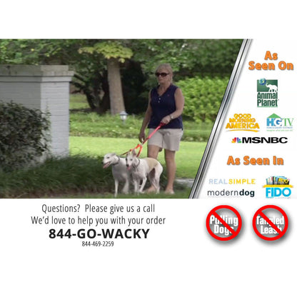 Crazycouplr 2 Dogs On 1 Leash No Tangle Walking